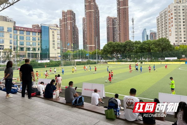 健全湖南青, com, ldZfo