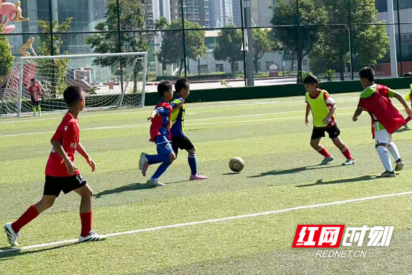 从对抗练习, 年龄段男足, 促进湖南青